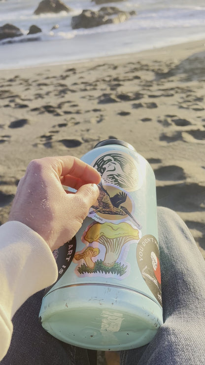 Pelican Sun- Holographic Sticker